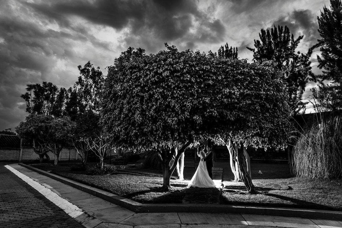Wedding Photography in Black and White